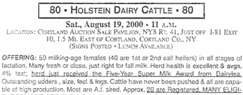 80 Holstein Dairy Cattle Ad